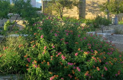 Romantico Monolocale - Foto 11