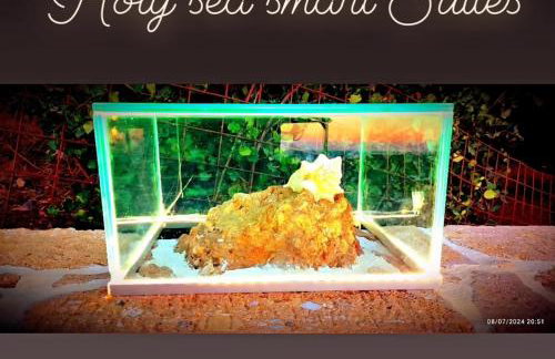 Holy Sea Smart Suites - Foto 61