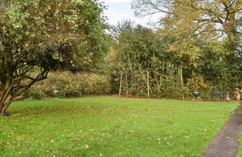 Swallows - Uk41742 - Foto 12