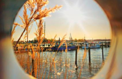 Ferienwohnungen Haus Sommerlust - Foto 22