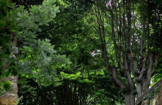 Haus Seeblick - Foto 6