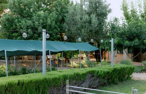 MiraFysee Farm - Foto 6