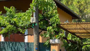 Villa Serenice - F2 au calme, climatisé, WIFI et parking gratuit - Foto 2