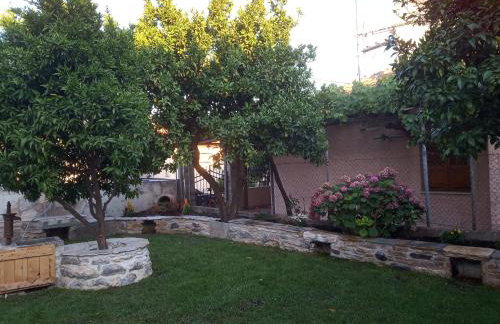 Orange Garden - Foto 33