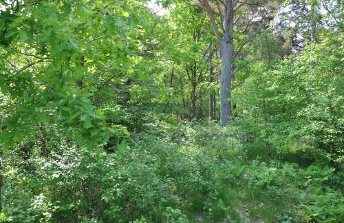 Haus Sandra - Foto 21