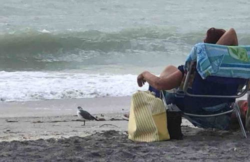 Good after Milton -Free Kayaks! Steps to Beach-bb - Foto 45