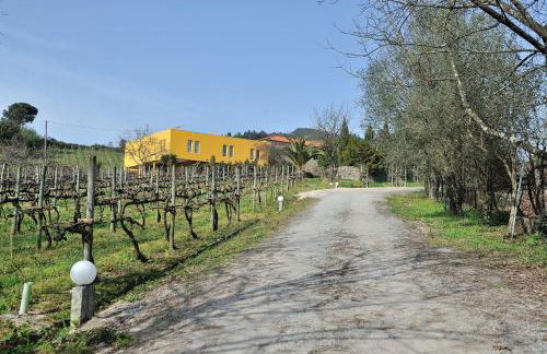 Quinta de Lourosa - Foto 8