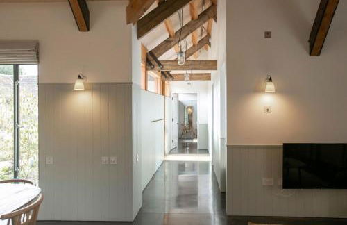 Clementine - Photo 6