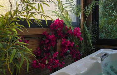 Balisier Maison Jacuzzi luxe privatif à 15min de Disneyland Paris - Foto 30