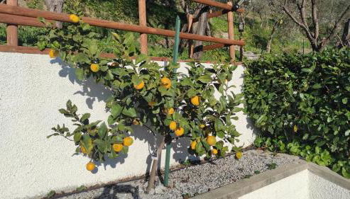 Villino Isabella - Foto 4