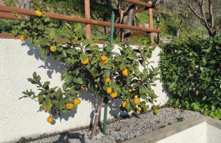 Villino Isabella - Foto 4