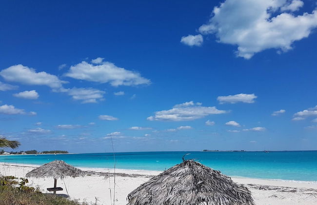 Spacious Villa On The Beach - Photo 40