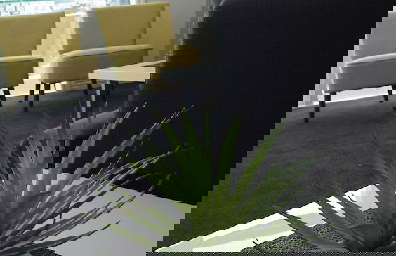 U Suites on Courtenay - Photo 67