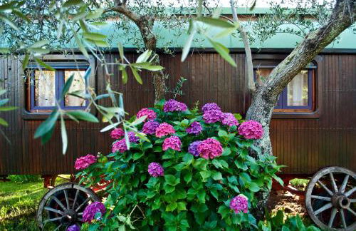 Azienda agricola Della Mezzaluna - Foto 41