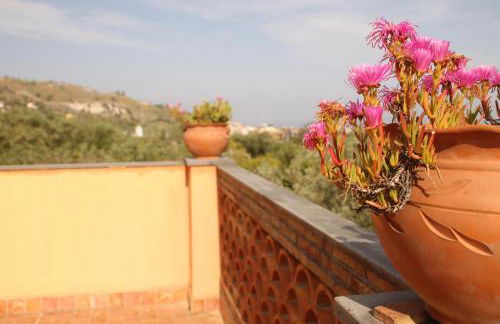 Il Melicucco - Foto 44