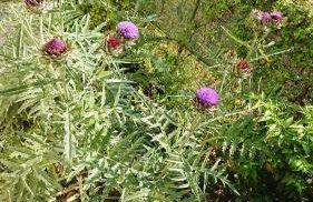 Evilion house inTholo. Sea, nature, relaxation! - Foto 60