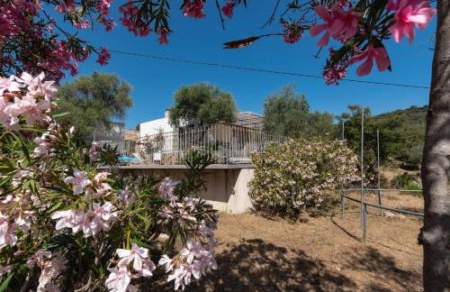 La Maison des Oliviers - Belle maison familiale avec Piscine - Foto 25