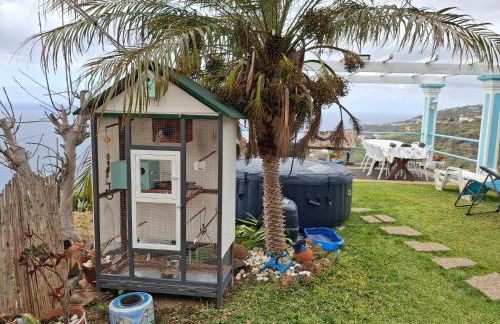 Casa d'Alegria Madeira Island - Foto 7