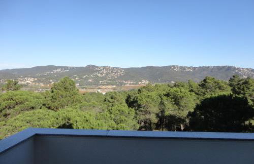 Joncs CostaBravaSi - Foto 12