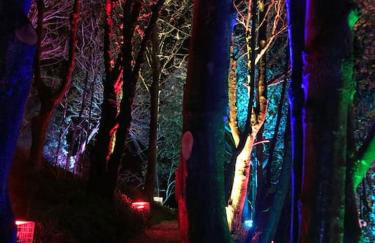 Sea Cliff View Designer Home - Photo 35