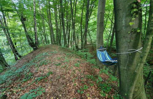 Leśny Zakątek - Foto 24