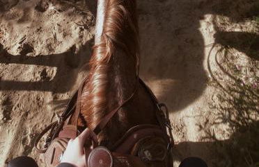 Cà Sal Holiday Home - Foto 15