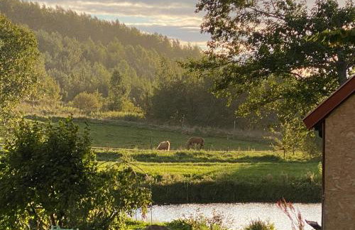 Rancho „Czajone na pigwowcu” - Foto 6