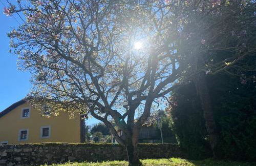 Los Picos - Casa rural con jardín - Foto 28