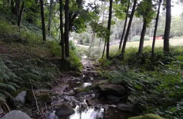 Lupus in fabula - Photo 23