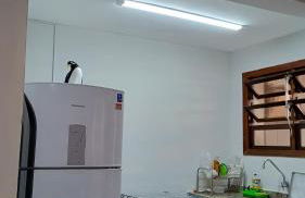 Vai Pra Praia - Enseada Ubatuba - até 6 pessoas - Foto 26