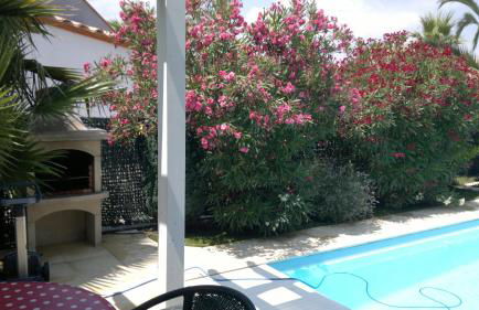 La maison de Virginie 6 a 12 personnes -300 m de la plage- vélos a disposition - Foto 65