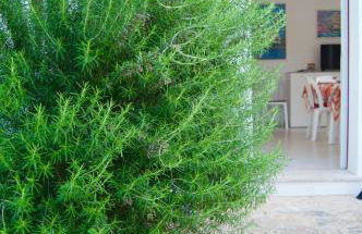 Appartamento BelMar - Foto 30