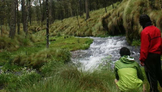Profitez de la randonnée en pleine nature