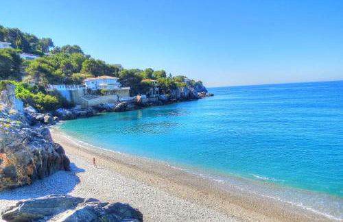 Rosa Nautica 3 - Photo 27