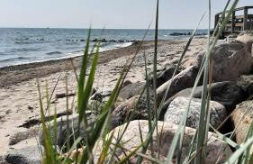 Strandkorb 29 - gemütliche neu sanierte FeWo an der Ostsee zwischen Dahme und Heiligenhafen - Foto 17
