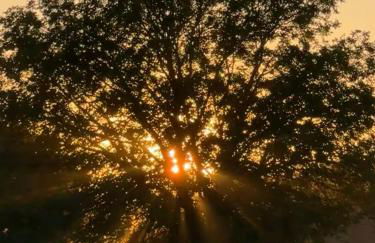 Charmant appartement au Port de Dienville - Photo 16