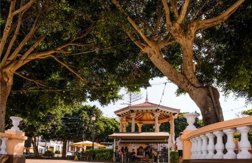 LIVE BUENAVISTA TERRACE - Foto 53