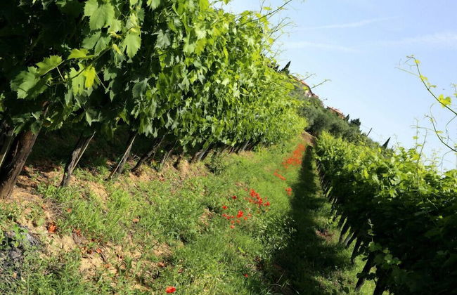 Verdidea - La Villa - Foto 68