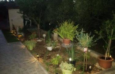 Apartments with parking space Kraj, Pasman - 8213 - Photo 8