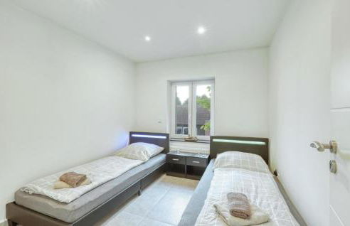 Seepferdchen - Foto 20