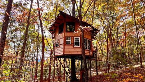 Treehouse wFull Disc Golf CourseDog Friendly - Foto 2