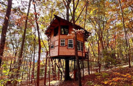 Treehouse wFull Disc Golf CourseDog Friendly - Foto 2