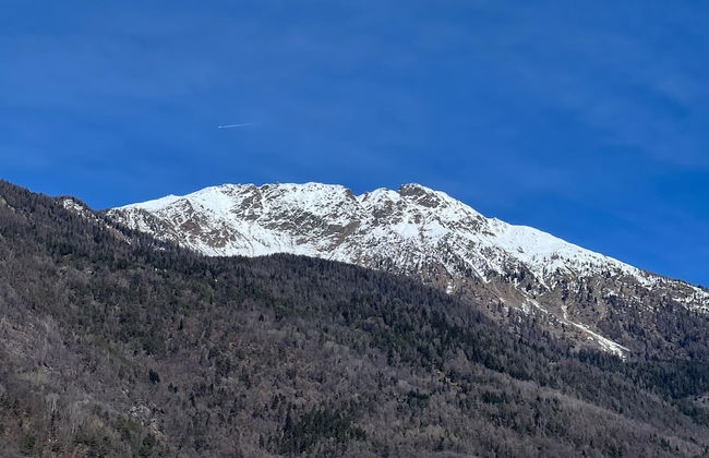 Bernina Suites -2min walk to Bernina Exp - Photo 43