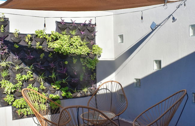 RentUp-San Telmo terraza priv parrilla - Foto 16