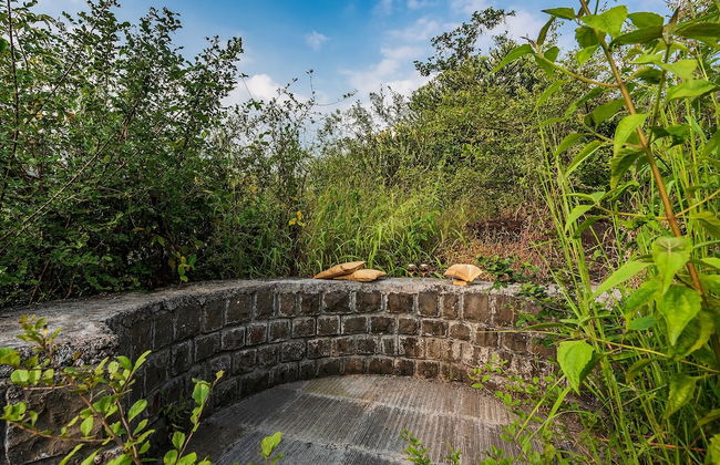 CosmicStays Rajgad Vista - Stay & play - Foto 44