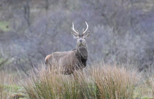 Red Watch Apartment - Foto 29