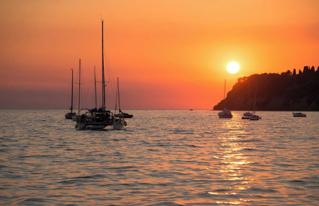 House In The Vineyards - Foto 29