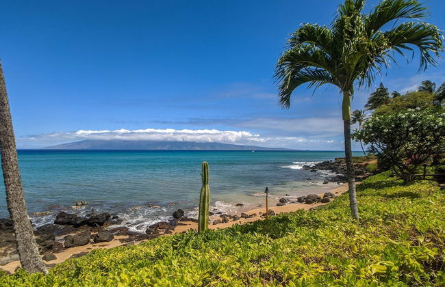 Kuleana 405 Oceanfront 1Bedroom 1 Condo by RedAwning - Foto 33