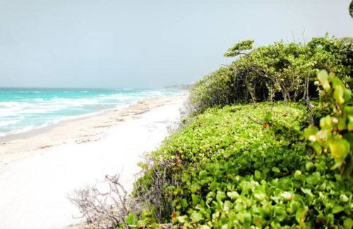 PoshPadz Villa Oceana-Hot tub, HUGE Pool, Beach - Foto 41