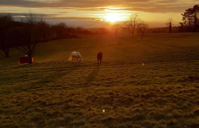 Ferienwohnung in Herbolzheim - Foto 27